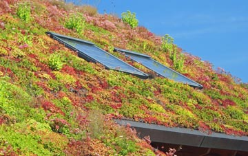Henbury living roof systems